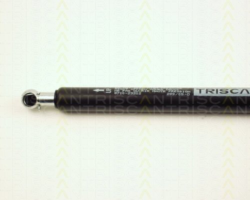 TRISCAN Gasfeder, Koffer-/Laderaum 871023202