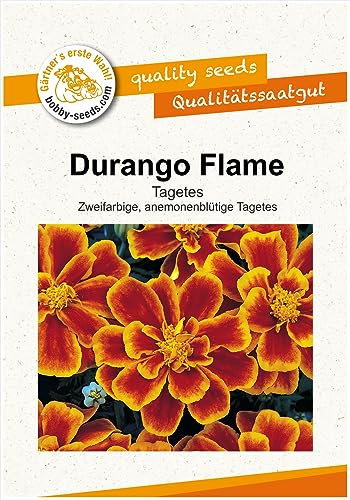 Blumensamen Durango Flame, Tagetes Portion