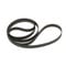 THAKKER DT 100 Riemen kompatibel mit Dual DT 100 Riemen Plattenspieler Belt Antriebsriemen