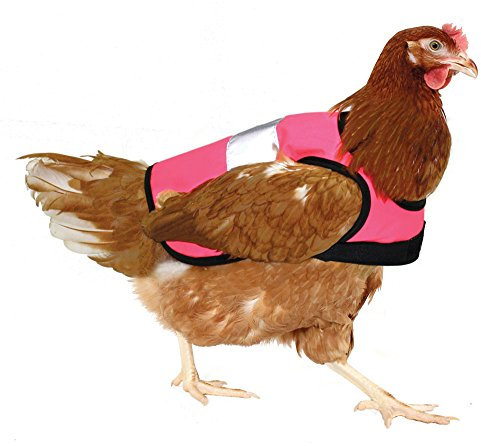 Omlet Warnweste für Hühner - Pink