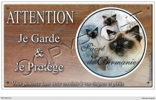Pets-Easy.com Panneau Chat ou Plaque Sacree-de-Birmanie 30 cm