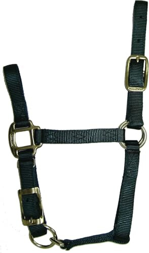 Hamilton Quality Horse Halter, 3/4 Triple Ply Nylon, Adjustable Chin Strap, Foal or Mini Horse, 100-200 lbs, Dark Green