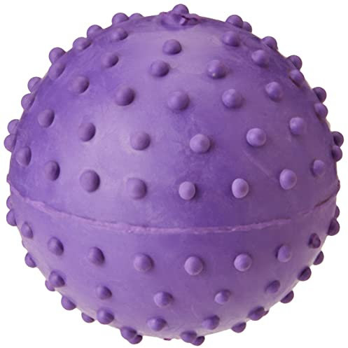 Classic for Dogs Balle à Picots avec Clochette Violet 60 mm