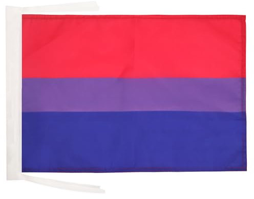 AZ FLAG Bandera Arco Iris Bisexual 45x30cm - BANDERINA Bisexual – Rainbow 30 x 45 cm cordeles