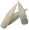 Fat-catz-copy-catz 50x False long length Full Coverage Extreme Stiletto Point Tip French false nails, 10 different sizes 5 of each size & small glue - Natural Pointed