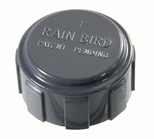 Raccord PVC/Distributeur Rain Bird Capuchon 1 Taraudage