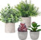 AlMuflihoon Fake Plants Set of 4 Artificial Plants Indoor Mini Pot Faux Plant Foliage Eucalyptus Rosemary Succulent for Coffee Table Home Room Decor Bedroom Office Kitchen Garden Shelf Desk & Outdoor