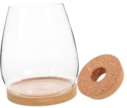 Abaodam Hydrokulturelles Terrarium Glasbehälter Satz aus Glas und Bambus mit Deckel als Pflanzenhalter für Büro und Zimmer zur Selbstgemacht Dekoration und Aufbewahrung