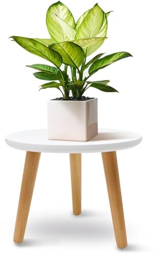 JNUYISW Support de Plantes en Bois, Blanc Lourdeur Tabouret pour Plantes Rond avec 3 Pieds pour Différentes Tailles de Pots de Fleurs Tabouret pour Fleurs pour Jardin l'Intérieur l'Extérieur (22x28cm)
