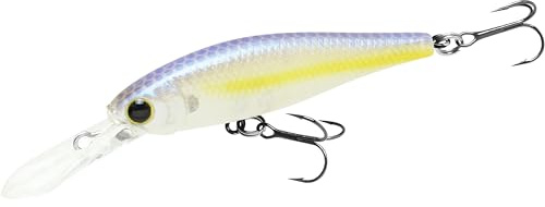 Lucky Craft Pointer 48DD Fishing Lures for Freshwater, 2” Deep-Diving Suspending Jerkbait, Trout and Bass Lures, 3–4ft Depth, Precision Freshwater Fishing Gear and Accessories for Tackle Box
