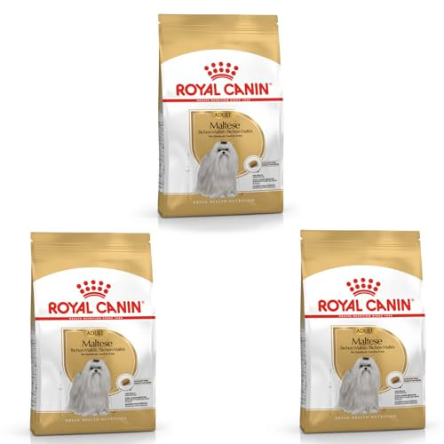 Royal Canin Maltese Adult | 3er Pack | 3 x 500 g |Trockenfutter für ausgewachsene Malteser | Zur Unterstützung des Fells und der Verdauung | Für Hunde ab dem 10. Lebensmonat