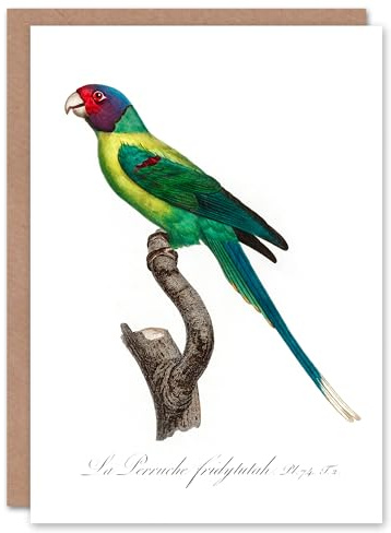 Artery8 Francois Levaillant Art Card The Plum Headed Parakeet