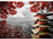 Runa Art Fototapete Japan 352 x 250 cm Vlies Tapeten XXL Moderne Wandtapete Wohnzimmer Schlafzimmer Grau Rot 9242011a