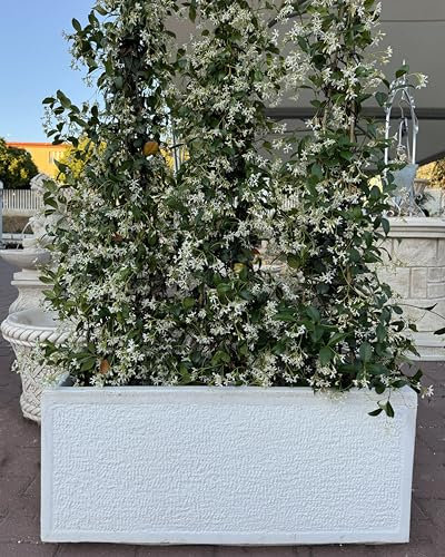 Vaso o fioriera bocciardato in cemento bianco - da esterno per arredo giardino - colore bianco o beige cm 93x35x43 altezza (bianco)