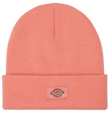 Dickies Gibsland Beanie One Size