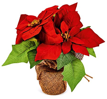 Premier Bouquet di stelle di Natale artificiali in vaso di iuta, altezza 24 cm