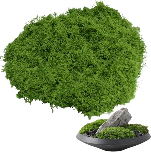 100g Kunstmoos, Moos Zum Basteln, für Deko Kunstpflanzen Übertöpfe Aquarium Innen und Indoor Wand Deko Wandverkleidung Frühlingsdeko Künstliche Pflanzen und Mooskranz(Grün)