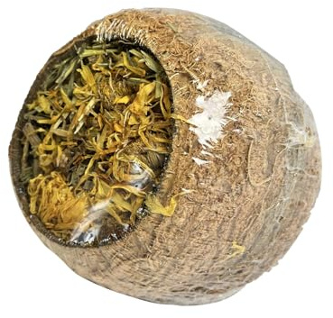 HAPPYPET Forage Filled Coconuts for Small Animals 100% Natural Treat