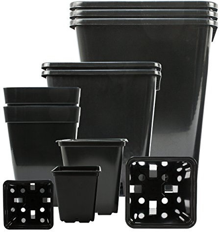 Pot de fleurs carré professionnel - Plastique PP de qualité supérieure - Parfait pour l'intérieur et l'extérieur par exemple la véranda, la terrasse, le balcon - Pot pour les petites plantes et les jeunes pousses. 15 Topf 25x25x26-cm 11-Liter 15 pièces