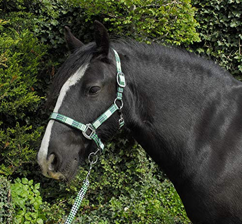 Rhinegold Carnival Headcollar & Rope Karnevals-Halfter und Seil, Grün (Green Check), Volle Größe