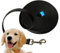 Edipets, Guinzaglio Lungo per cani, Addestramento, 3 metri, 5 m, 10, m, 15 m e 1.5 m, Nylon, Resistente e Leggero Adatto per Tutti i Cani (5 m, Nero)