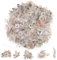 200 Stück Scrapbooking Aufkleber Blumen Pet Sticker Pflanzen Aesthetic Für Fotoalbum Transparente Wasserfeste Aufkleber Selbstklebende Aufkleber Scrapbook Zubehör Für Diy Tagebücher（B-Stil）