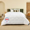 DREAMWAY - Bettdecke 240x220 cm Ganzjahresdecke 4 Jahreszeiten, Steppdecke 300gsm Mikrofaser 220x240, Super Weiche Zudecke Schlafdecke Atmungsaktive 240 x 220 Weiß, Oeko-Tex Zertifiziert