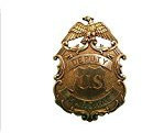 Denix US Sheriffstern Marshal Stern Adler Messingfarbener Cowboy Western Anstecker 8cm