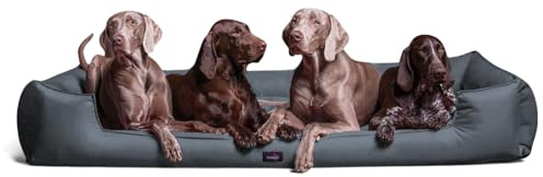 tierlando® Orthopädisches Hundebett Goofy für große Hunde XL bis XXXL mit waschbarerem Polyester-Bezug, ideal bei Gelenkproblemen Größe: 160x110cm | Farbe: 06 Grau