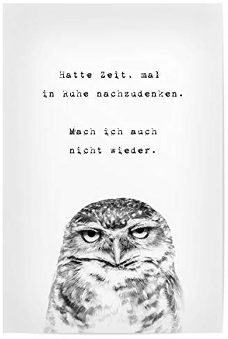 artboxONE Poster 30x20 cm Typografie Mal nachgedacht hochwertiger Design Kunstdruck - Bild Eule Eule genervt
