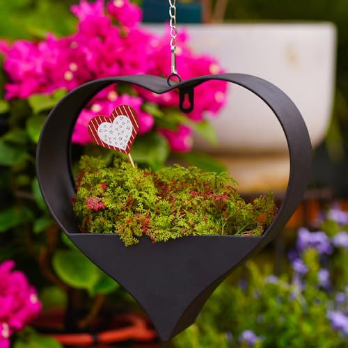 Jardinières à suspendre en métal pour plantes d'intérieur et d'extérieur – 30,5 cm en forme de cœur pour mur ou fenêtre, jardin ou décoration d'intérieur pour femme (noir)