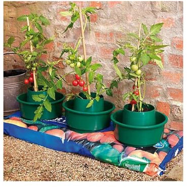 Tomato Growing Pots Self Watering and Feeding use in Growbag or in Soil Complete with Watering Spikes