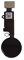 Smartex| Home Button Flexkable kompatibel mit iPhone 7 – Schwarz Homebutton Schalter Ersatzteil