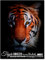 wandmotiv24 Leinwandbild Tiere, Hochformat, Tiger & Charaktereigenschaften M0253
