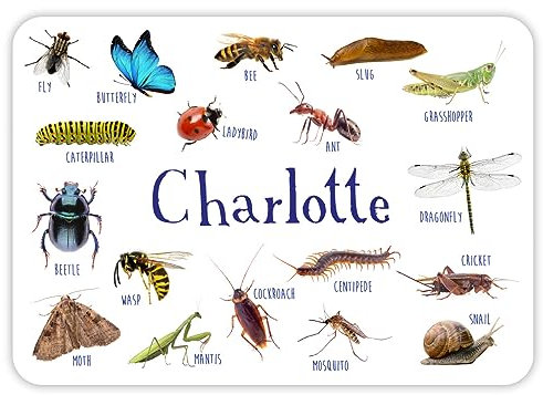 Paper Themes Personalised Placemat for Kids (Insects)