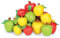 Learning Resources Apfelmerkmale erkennen