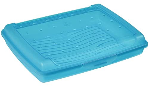 keeeper Frischhaltedose mit Klickverschluss, 17 x 13 x 3,5 cm, 500 ml, Luca Mini, Blau
