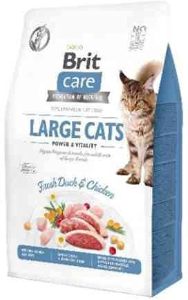 VAFO PRAHA s.r.o. Brit Care Cat Cat Big Cats, 7 kg Power & Vitality GF
