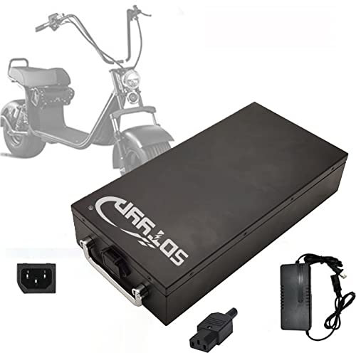 Batterie de Moto électrique pour Citycoco Scooter Batterie de Moto électrique de Grande capacité avec Chargeur, verrou et poignée, 60V, 20AH [Classe énergétique A]