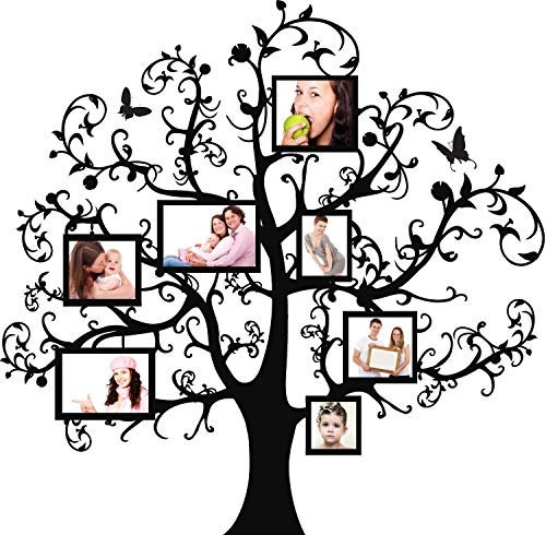 (100 cm x 99 cm) (Vinyl, Motiv Baum mit Bilderrahmen, Flowers &Butterflies Bilderrahmen-Forest Zweigstellen Art Decor Decal Aufkleber inklusive zufällig Geschenk!