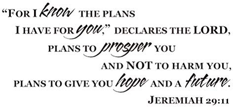 Vosarea Jeremiah 29:11 for I Know The Plans for You Bible Verse Wall Decal Sticker
