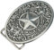 Schnalle123 Gürtelschnalle Western Star Stern Cowboy 3D Optik für Wechselgürtel Gürtel Schnalle Buckle Modell 246