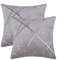 GIGIZAZA Silbergrau Kissenbezug Samt Kissenhülle 45x45cm Kissenbezüge Dekokissen Fall für Sofa Schlafzimmer Wohnzimmer 2er Set
