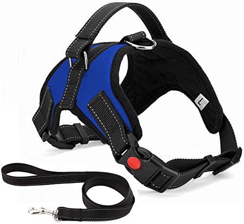 Musonic No Pull Dog Harness Breathable Adjustable Comfort Free Lead Included for Small Medium Large Dog Best for Training Walking S Blue