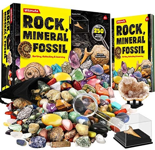 Dr. Daz Rock Fossil Mineral Collection Activity Kit Includes 250+ Real Specimens Ultimate Display Case Fossils Gems Rocks Genuine Minerals for Kids Great Science Gift for Boys Girls