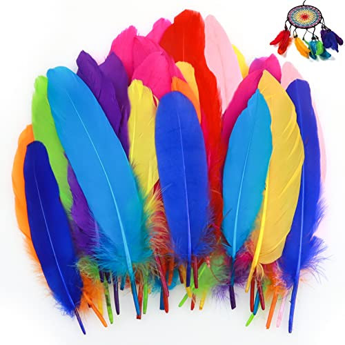 JNWYH 150 Stk Federn, Natürliche Bunte Feder für Zuhause,Halloween,Karneval,Party,Hochzeiten Dekoration,Traumfänger Basteln,DIY Kopfschmucks(15-20cm)