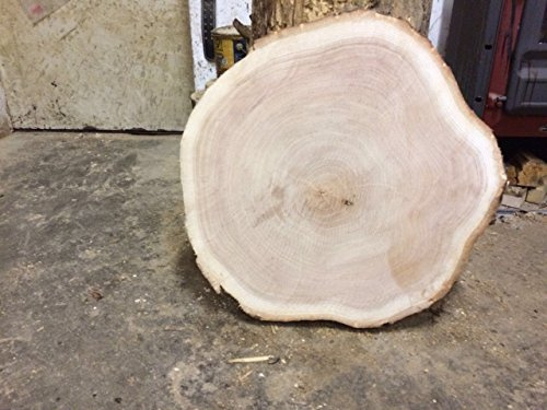 Baumscheibe, Holzscheibe,ca.50 x 3 cm, basteln, Holz,Roteiche