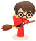 FIGURA MINI HARRY QUIDDITCH HARRY POTTER