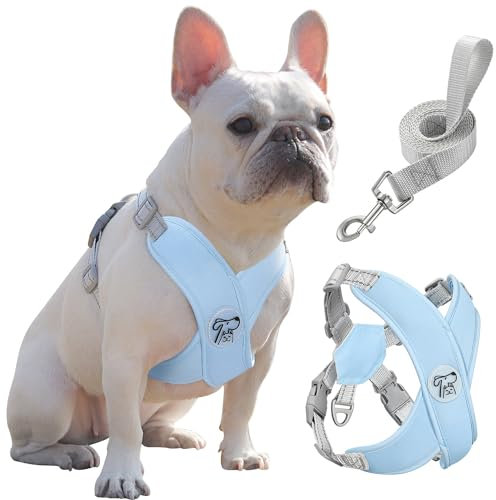 Pawaboo Hundegeschirr mit Hundeleine Set, X-Rahmen Verstellbares Anti Zug Anti-Erstickung Hund Brustgeschirr für Kleine, Mittelgroße Hunde & Welpen, Atmungsaktive Hundeweste mit Leine (L, Blau)