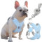 Pawaboo Hundegeschirr mit Hundeleine Set, X-Rahmen Verstellbares Anti Zug Anti-Erstickung Hund Brustgeschirr für Kleine, Mittelgroße Hunde & Welpen, Atmungsaktive Hundeweste mit Leine (L, Blau)